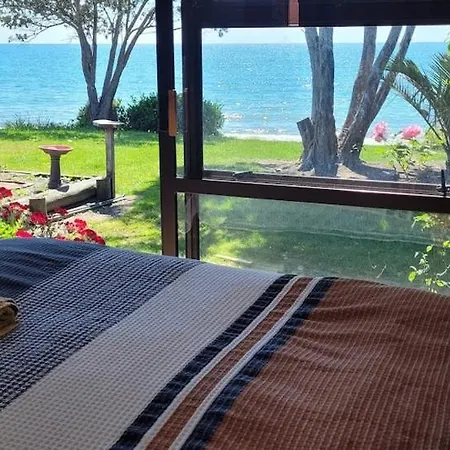 Beachfront Bliss - Your Parapara Seaside Retreat Exterior photo