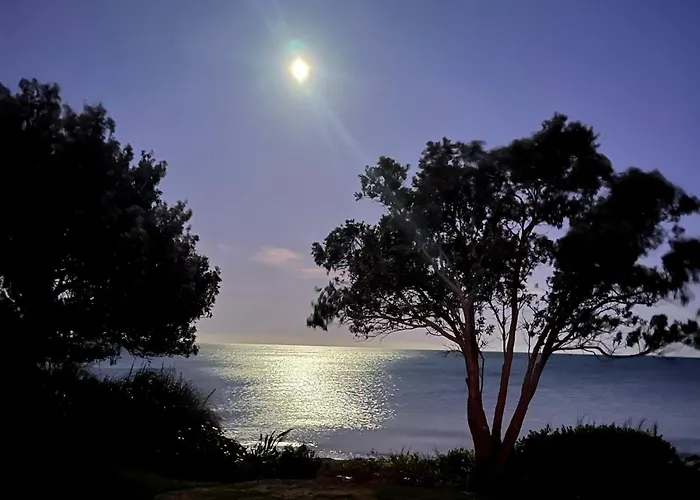 Beachfront Bliss - Your Parapara Seaside Retreat
